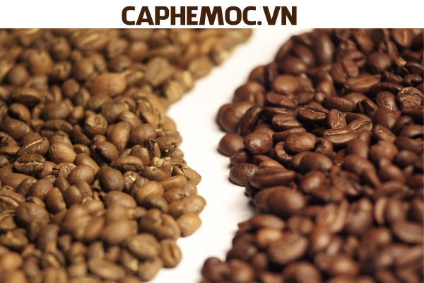 ca-phe-robusta