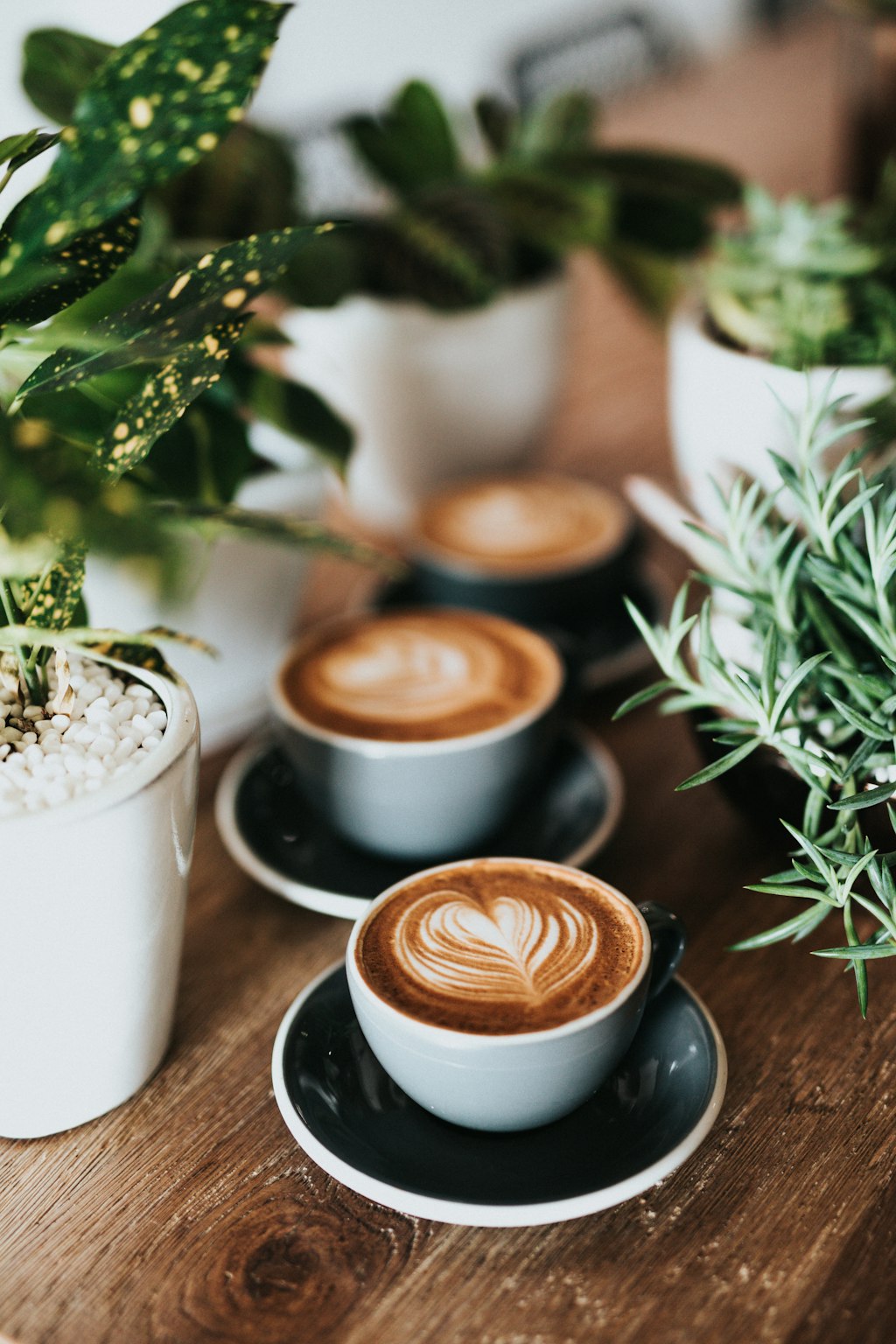 Kiểm tra độ nổi của bột cà phê nguyên chất trong nước